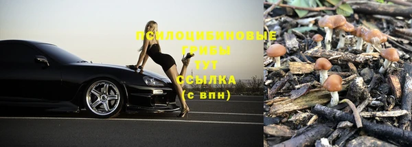 герыч Протвино