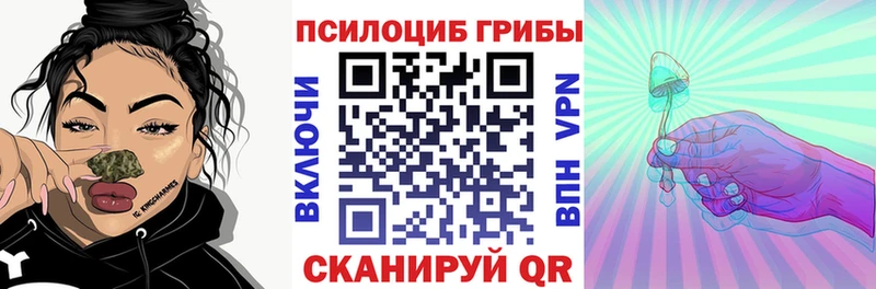 Псилоцибиновые грибы Cubensis Катав-Ивановск
